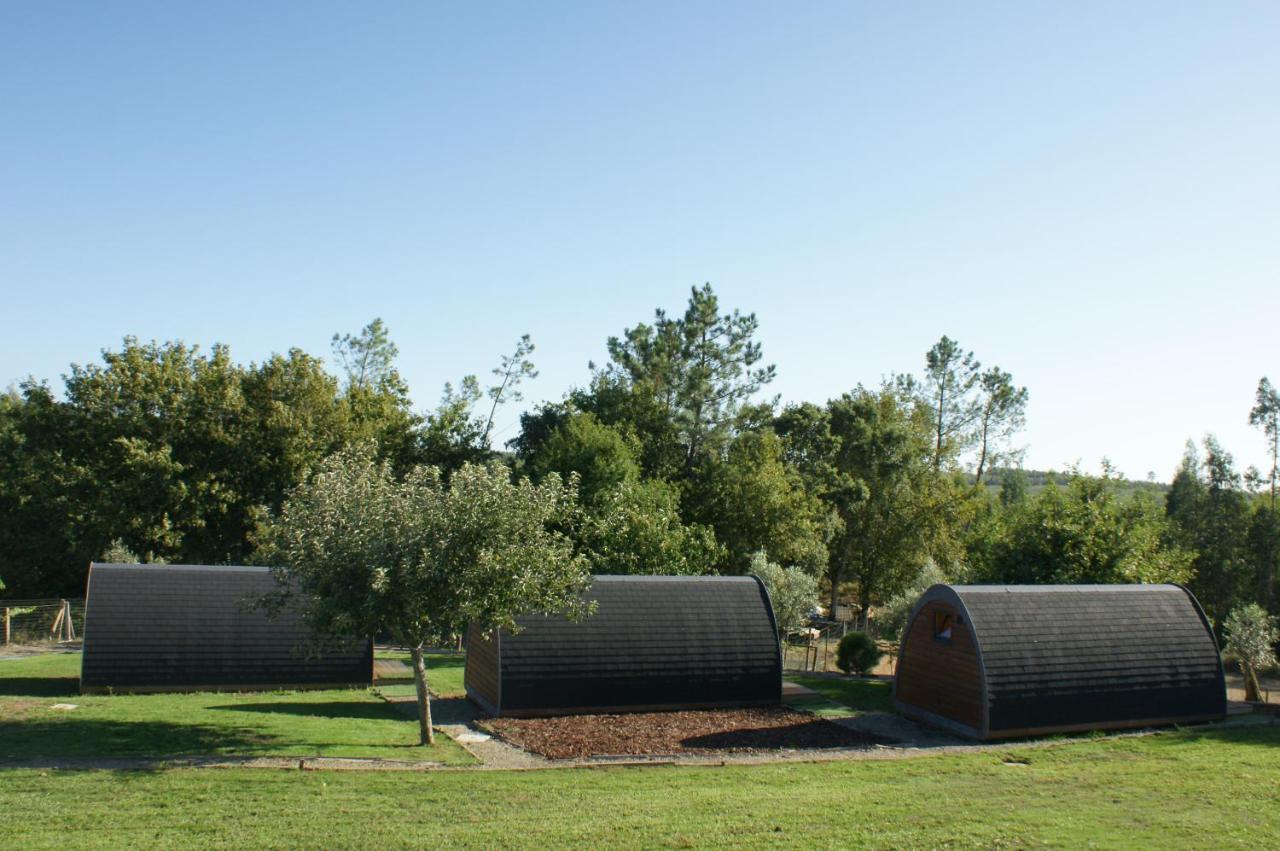 Casa Matilde - Alombada Family Lodge Águeda エクステリア 写真